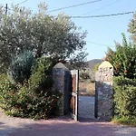 Vassia Home's * Термисия