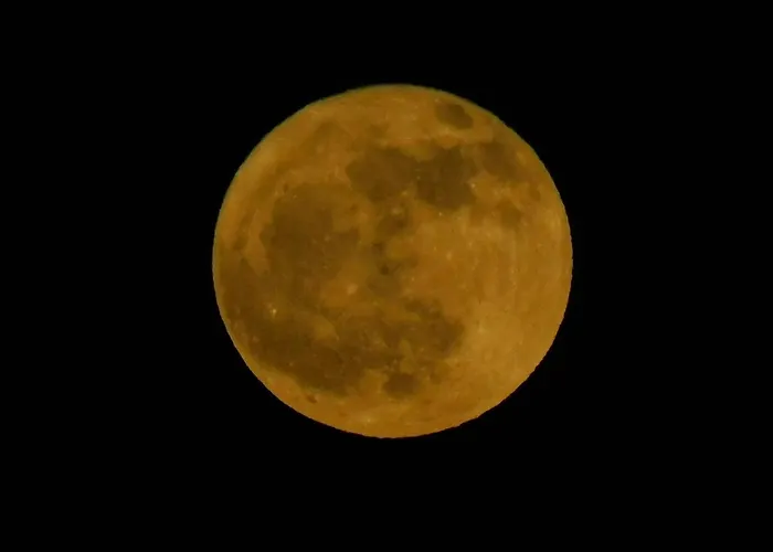 Hébergement de vacances Vassia Home's