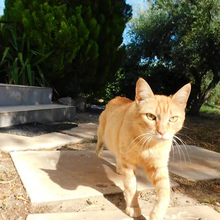 Vassia Home's Σπίτι διακοπών