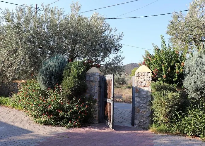 Vassia Home's * Thermisía