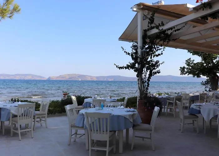 Vassia Home's 度假居 *