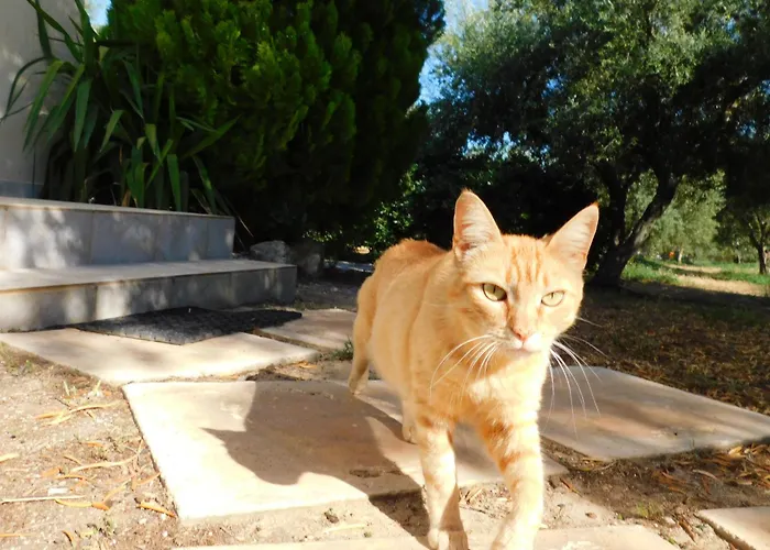 Vassia Home's 別荘