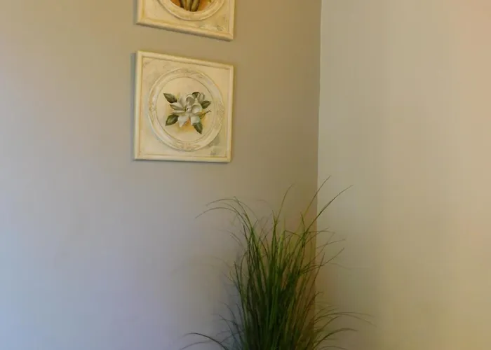 Vassia Home's 度假居