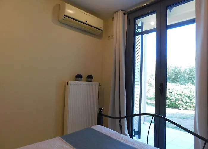 Vassia Home's
